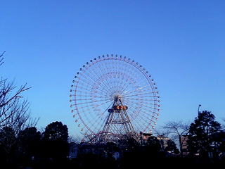Yokohana_wheel.jpg