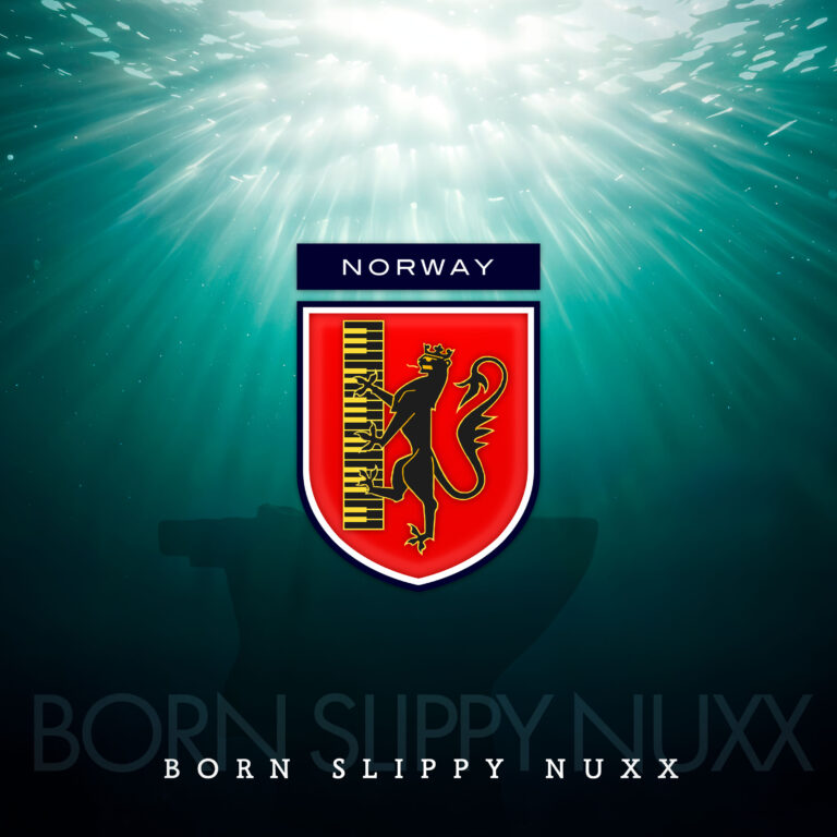 BORN SLIPPY NUXX